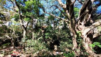 Venta de lujoso apartamento en Piedades, Santa Ana