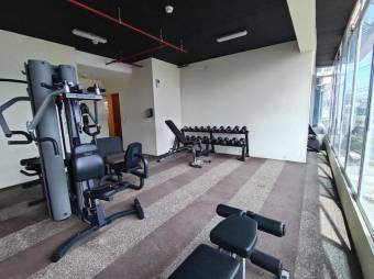 Viví independiente en la más amena Torre... Los Yoses Viví independiente en la más amena Torre... Los Yoses