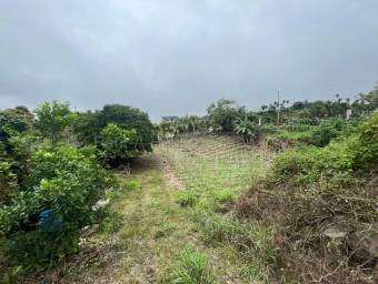 Venta de Lote en Paraíso-Santiago, Cervantes de Cartago. RAH 26-1709 Venta de Lote en Paraíso-Santiago, Cervantes de Cartago. RAH 26-1709