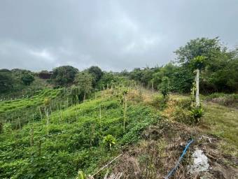 Venta de Lote en Paraíso-Santiago, Cervantes de Cartago. RAH 26-1709 Venta de Lote en Paraíso-Santiago, Cervantes de Cartago. RAH 26-1709