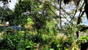 Commercial land for sale, flat, with high traffic and great development potential #26-1565 GS, ₡ 460,000,000, 4, San José, Tibás