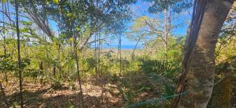 Terreno de 1.5 ha con naciente, bosque y gran potencial eco residencial #26-1566 GS