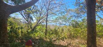 Terreno de 1.5 ha con naciente, bosque y gran potencial eco residencial #26-1566 GS