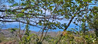 Terreno de 1.5 ha con naciente, bosque y gran potencial eco residencial #26-1566 GS