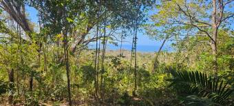 Terreno de 1.5 ha con naciente, bosque y gran potencial eco residencial #26-1566 GS