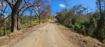 Terreno de 1.5 ha con naciente, bosque y gran potencial eco residencial #26-1566 GS