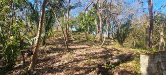 Terreno de 1.5 ha con naciente, bosque y gran potencial eco residencial #26-1566 GS