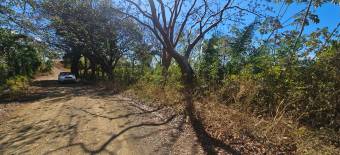 Terreno de 1.5 ha con naciente, bosque y gran potencial eco residencial #26-1566 GS