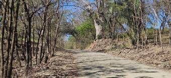 Terreno de 1.5 ha con naciente, bosque y gran potencial eco residencial #26-1566 GS