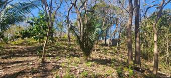 Terreno de 1.5 ha con naciente, bosque y gran potencial eco residencial #26-1566 GS