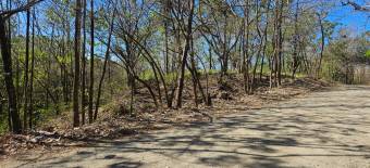 Terreno de 1.5 ha con naciente, bosque y gran potencial eco residencial #26-1566 GS