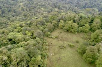 Venta Terreno Guápiles, Pococí  #26-1792