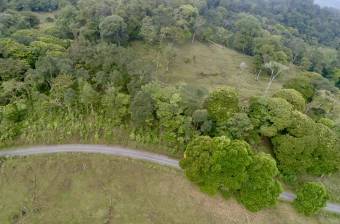 Venta Terreno Guápiles, Pococí  #26-1792