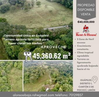 Venta Terreno Guápiles, Pococí  #26-1792