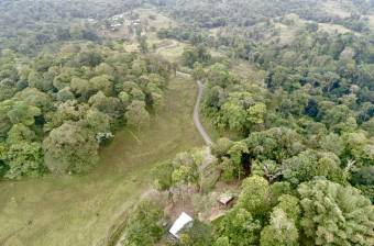 Venta Terreno Guápiles, Pococí  #26-1792