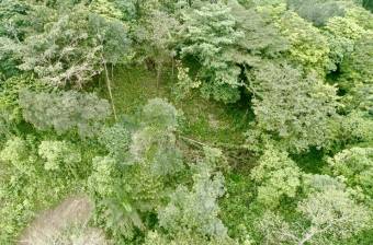 Venta Terreno Guápiles, Pococí  #26-1792