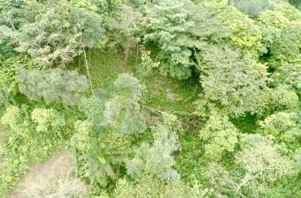 Venta Terreno Guápiles, Pococí  #26-1792