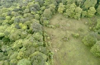 Venta Terreno Guápiles, Pococí  #26-1792
