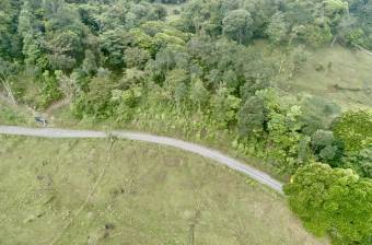 Venta Terreno Guápiles, Pococí  #26-1792