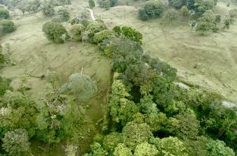 Venta Terreno Guápiles, Pococí  #26-1792