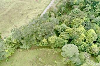 Venta Terreno Guápiles, Pococí  #26-1792