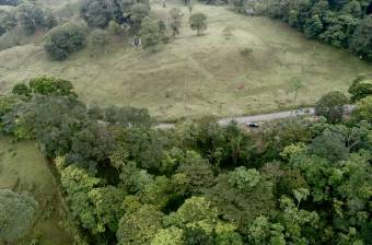 Venta Terreno Guápiles, Pococí  #26-1792