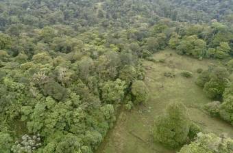 Venta Terreno Guápiles, Pococí  #26-1792