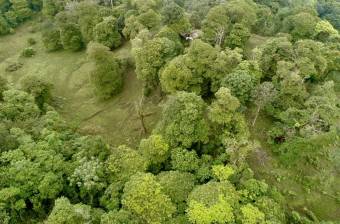 Venta Terreno Guápiles, Pococí  #26-1792