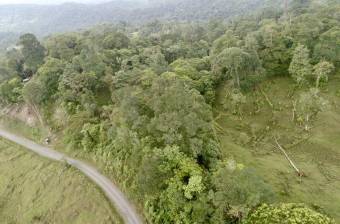 Venta Terreno Guápiles, Pococí  #26-1792