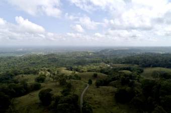 Venta Terreno Guápiles, Pococí  #26-1792