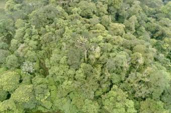 Venta Terreno Guápiles, Pococí  #26-1792