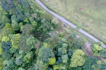 Venta Terreno Guápiles, Pococí  #26-1792