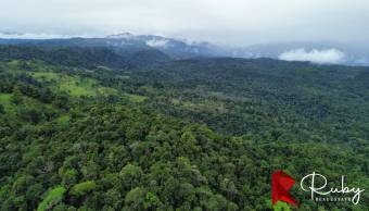 ¡Atención amantes de la naturaleza y conservacionistas apasionados! 