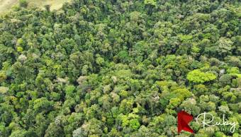 ¡Atención amantes de la naturaleza y conservacionistas apasionados! 
