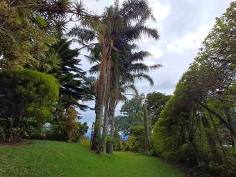 VENTA DE CASA RODEADA DE NATURALEZA CLIMA FRESCO. PRECIO NEGOCIABLE.