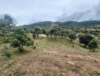 Venta de Lote en Dota-Santa María. RAH 26-1272