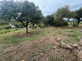 Venta de Lote en Dota-Santa María. RAH 26-1272 Venta de Lote en Dota-Santa María. RAH 26-1272