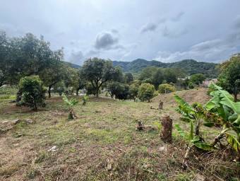 Venta de Lote en Dota-Santa María. RAH 26-1272 Venta de Lote en Dota-Santa María. RAH 26-1272