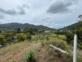 Venta de Lote en Dota-Santa María. RAH 26-1272 Venta de Lote en Dota-Santa María. RAH 26-1272