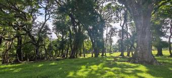 MLS-26-682 VENTA FINCA BARVA HEREDIA CONTACTENOS AL # 88987222