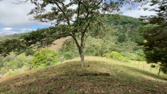 BELLO LOTE EN VENTA COPALCHÍ CARTAGO BELLO LOTE EN VENTA COPALCHÍ CARTAGO