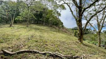 BELLO LOTE EN VENTA COPALCHÍ CARTAGO BELLO LOTE EN VENTA COPALCHÍ CARTAGO