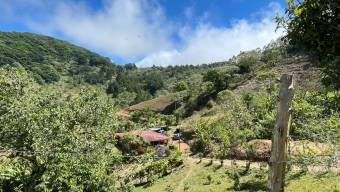 BELLO LOTE EN VENTA COPALCHÍ CARTAGO BELLO LOTE EN VENTA COPALCHÍ CARTAGO