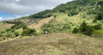 BELLO LOTE EN VENTA COPALCHÍ CARTAGO BELLO LOTE EN VENTA COPALCHÍ CARTAGO