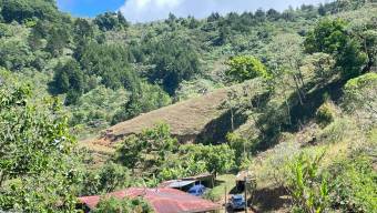 BELLO LOTE EN VENTA COPALCHÍ CARTAGO BELLO LOTE EN VENTA COPALCHÍ CARTAGO