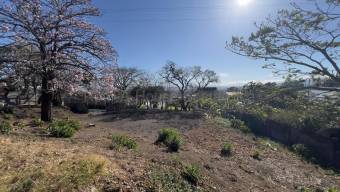 VENTA LOTE UBICACIÓN ESTRATEGICA ESCAZU SAN RAFAEL