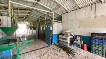 IDEAL PARA PROYECTO TURISTICO LOTE EN VENTA, PURISCAL BARBACOAS IDEAL PARA PROYECTO TURISTICO LOTE EN VENTA, PURISCAL BARBACOAS