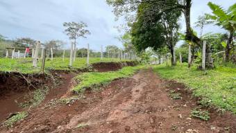 IDEAL PARA PROYECTO TURISTICO LOTE EN VENTA, PURISCAL BARBACOAS IDEAL PARA PROYECTO TURISTICO LOTE EN VENTA, PURISCAL BARBACOAS