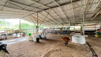 IDEAL PARA PROYECTO TURISTICO LOTE EN VENTA, PURISCAL BARBACOAS IDEAL PARA PROYECTO TURISTICO LOTE EN VENTA, PURISCAL BARBACOAS