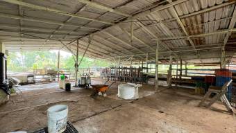 IDEAL PARA PROYECTO TURISTICO LOTE EN VENTA, PURISCAL BARBACOAS IDEAL PARA PROYECTO TURISTICO LOTE EN VENTA, PURISCAL BARBACOAS